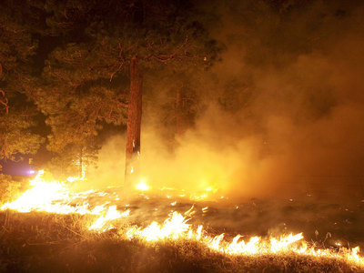 Лесной пожар подбирается к курорту на Лазурном берегу