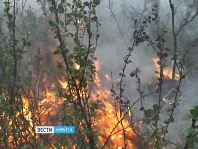 Количество лесных пожаров в Иркутской области уменьшается