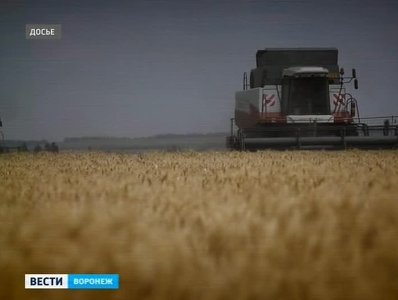 Первый миллион из будущих четырех. Убирать зерно аграрии начали быстрее