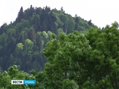 Пропавшего в горах Сочи туриста будут искать добровольцы