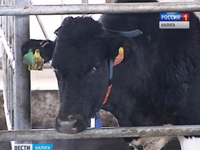 За полугодие объёмы регионального сельхозпроизводства выросли на 104%