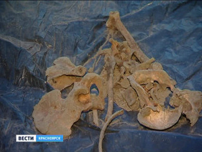 В Красноярске при установке баннера нашли человеческие останки