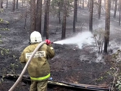Пучков призвал МЧС к жесткости в наступлении на пожары