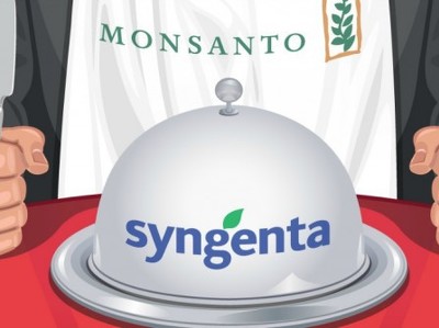   : Monsanto  Syngenta  