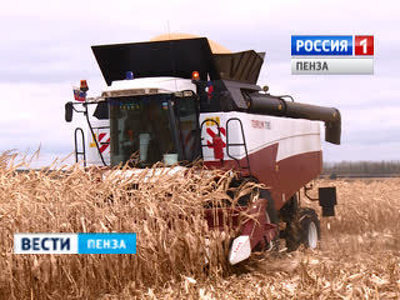 Пензенская область вышла в лидеры Поволжья по урожайности зерновых культур