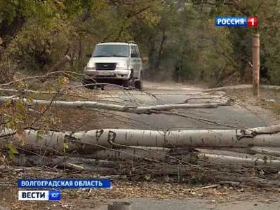 Многодетным семьям Волгоградской области раздают непригодные для жизни участки