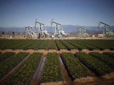 Биржевые котировки нефти выросли на 5%