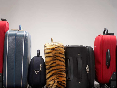 В Воронеж прибыли первые 30 чемоданов туристов, вернувшихся из Египта