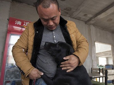 Китайский миллионер распродал имущество, чтобы открыть приют для собак