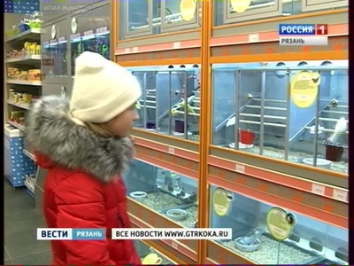 Во всем мире отмечается День домашних животных