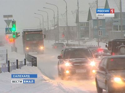 В Салехарде разыскивают водителя, сбившего ребенка на пешеходном переходе