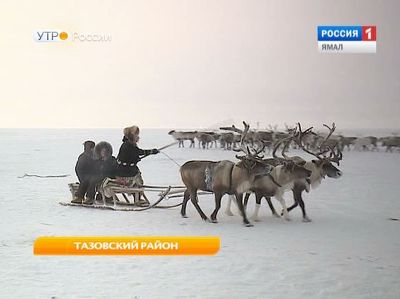 В Тазовском районе аборигенов учили азам этнотуризма