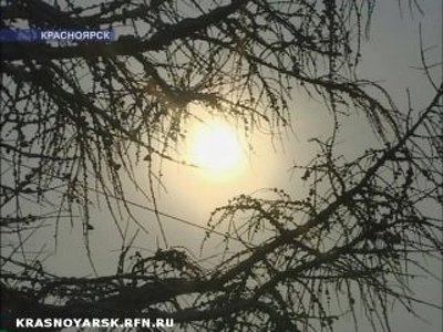 Красноярцы страдают от "полярного синдрома"