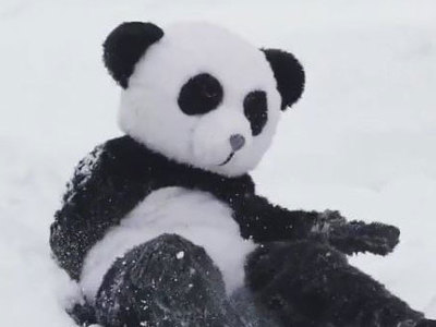 Американец спародировал купание в снегу панды Тянь-Тянь. Видео