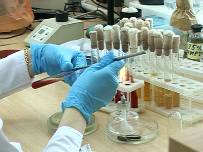 Новосибирские ученые изобрели препарат против свиного гриппа