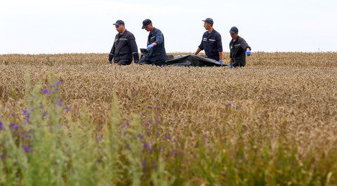 У Росавиации есть замечания к докладу о падении самолета под Донецком