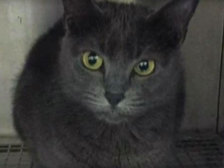  (фото: http://www.cbsnews.com)