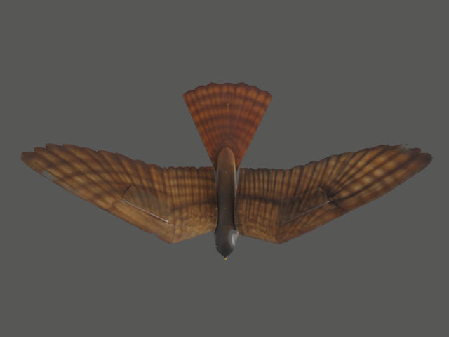 Чтобы летать и маневрировать, роботу нужно махать крыльями, как настоящей птице  (фото Clear Flight Solutions). 