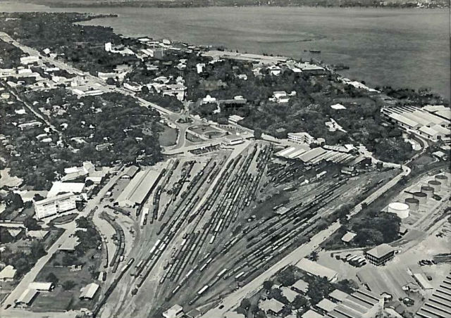 Строительство транспортных путей в Киншасе в 1950-х годах привело к распространению вируса по всей Африке (фото Oxford University). 