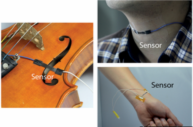 Датчик может записывать скрипичные ноты, вибрации человеческого голоса или пульс (фото D.Kang/M.Choi/Nature).