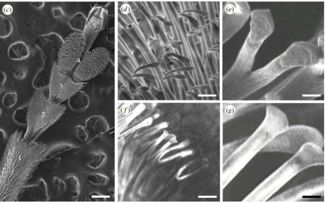 Файл загружен. Размер: 50279 байт