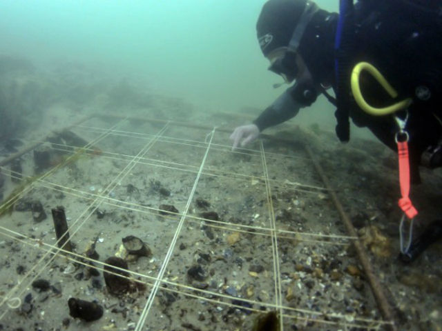 Подводные раскопки в Булднор Клифф, в ходе которых была обнаружена ДНК пшеницы (фото Roland Brookes/The Maritime Trust). 