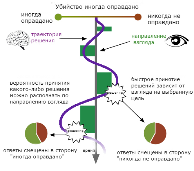 Графическая схема принятия решений во время отслеживания взгляда (иллюстрация Daniel Richardson).