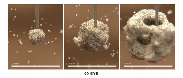 Глаз формируется посредством биопечати, на специальную основу собираются различные клетки (иллюстрация MHOX).