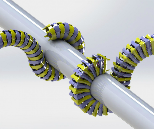 Исследователи обнаружили, что квадратные сегменты хвоста создают несколько контактных точек с поверхностью — такой захват эффективнее (иллюстрация Michael Porter/Clemson University).