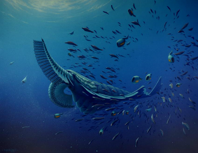 Tamisiocaris borealis в представлении художника (иллюстрация Rob Nicholls, Palaeocreations).