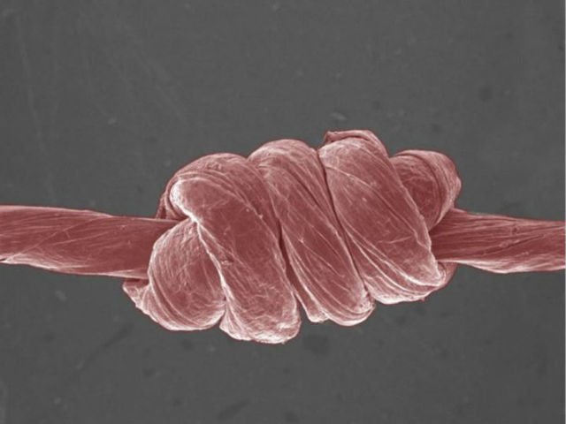 Графеновый канат можно скручивать в узлы без риска деформации материала (фото Terrones group, Penn State). 
