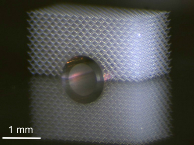 Метаматериалы "спрятали" металлический цилиндр от прикосновения (фото T.Bückmann/KIT).