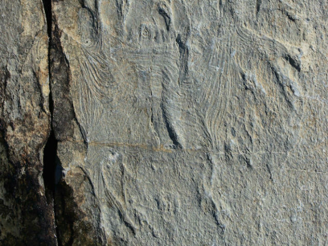 Самые древние мышцы были обнаружены в породе возрастом более полумиллиарда лет (фото Alex Liu).