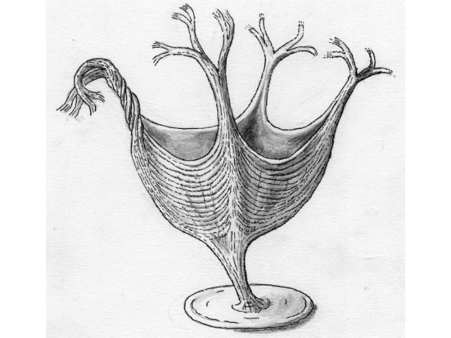 Так могла выглядеть мышечная система древнего животного (иллюстрация Martin Brasier).