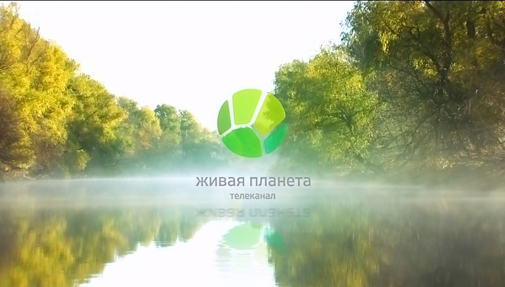 Вести.Ru: Настройся на "Живую Планету" - включи природу