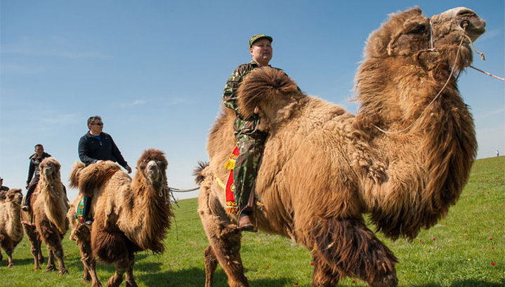 Файл загружен. Размер: 130751 байт