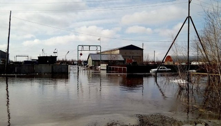 Новости россия новосибирск 1 июня онлайн