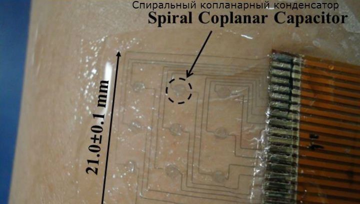Датчик, прикреплённый к коже, имеет толщину всего в 1,2 микрометра (фото Young-Ho Cho/KAIST). 