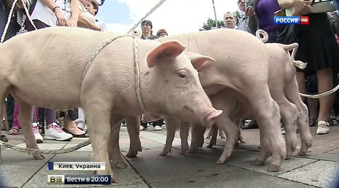 Центр Киева заполонили митингующие